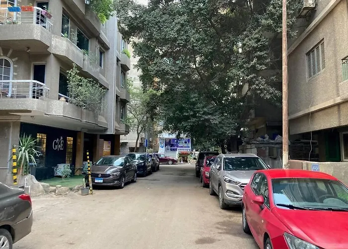 Modern Vibrant Living