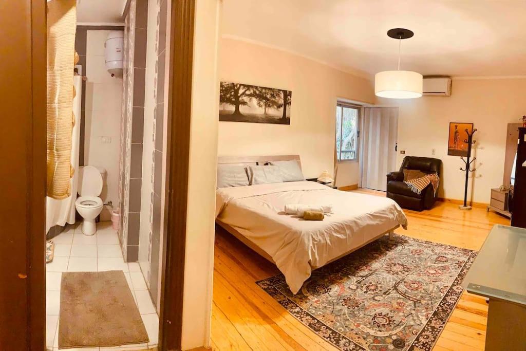 Modern Vibrant Living Apartment Cairo