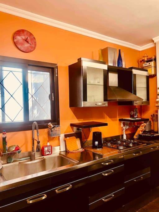 Apartment Modern Vibrant Living