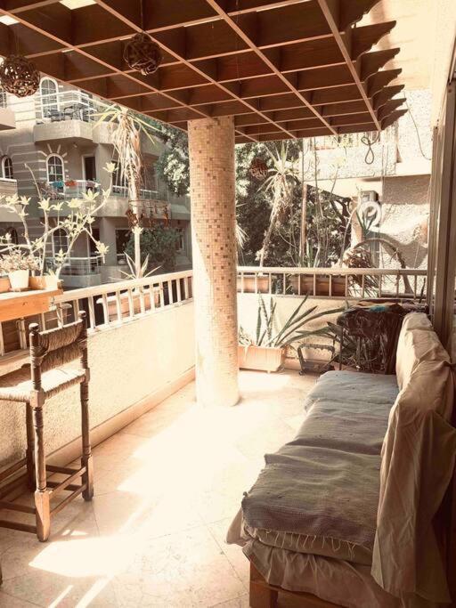 Modern Vibrant Living Cairo